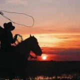 Lo mejor de mi llano logo